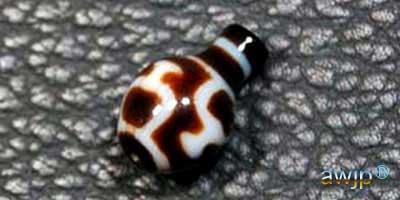 寶瓶天珠 壷の形 houbin24-3