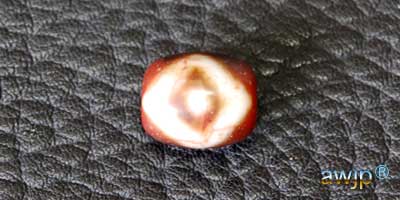 星辰天珠・老礦石 火供龍紋天珠 seisin19